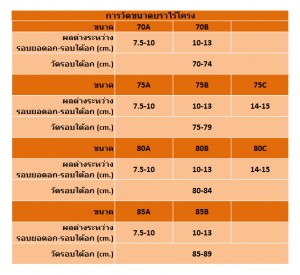 ตารางชุดชั้นใน DORINDA บราไร้โครง