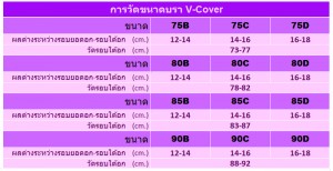 ชุดชั้นใน มีโครง เก็บเนื้อใต้รักแร้ รุ่น V-Cover สีเนื้อ
